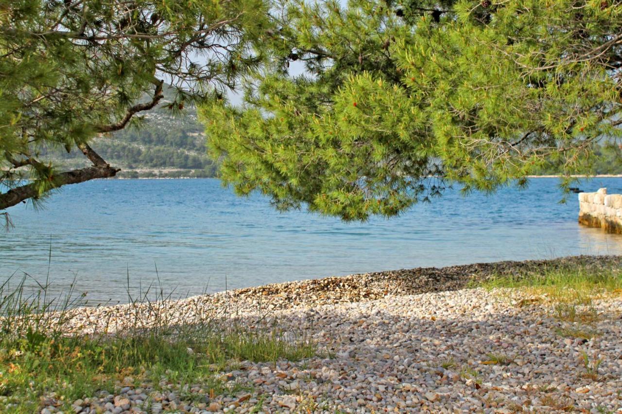 Apartments And Rooms With Parking Space Mali Ston Εξωτερικό φωτογραφία