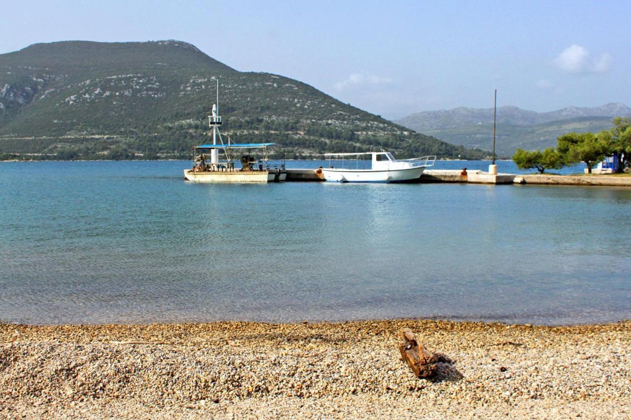 Apartments And Rooms With Parking Space Mali Ston Εξωτερικό φωτογραφία